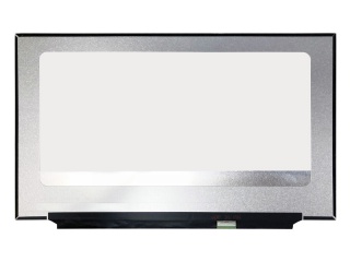 友达 17.3
