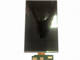 龙腾 10.1