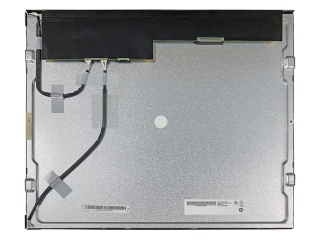 友达 19