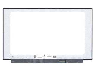 群创 15.6