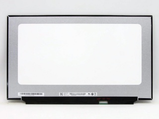 友达 17.3