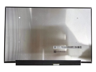 友达 14