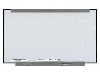 友达 17.3