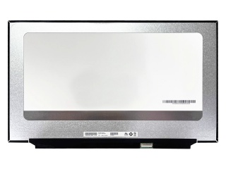 友达 17.3