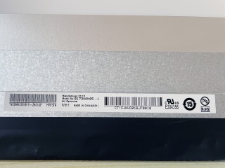 友达 17.3