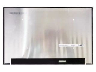 友达 16