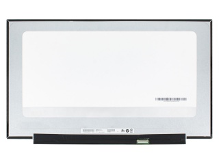 友达 17.3