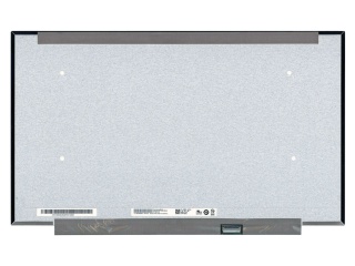 友达 17.3