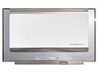 友达 17.3