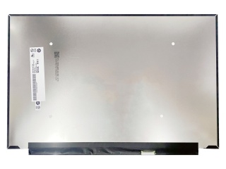 友达 16